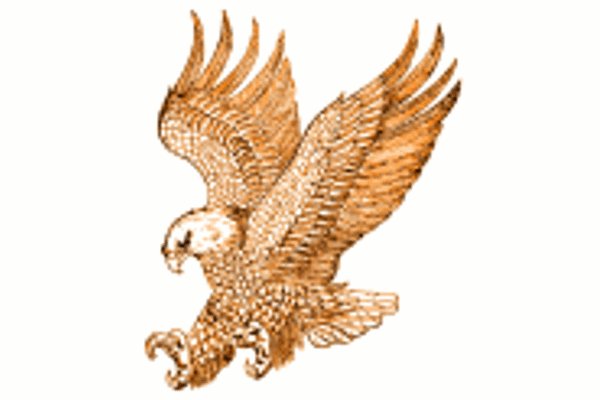 Wildlife Alliance急招行政办公室经理