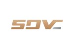 SD Vision Cam招聘资深会计