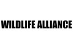 Wildlife Alliance急招监测评估专家 负责项目