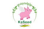 K S Seed招聘农业市场及技术支持人员