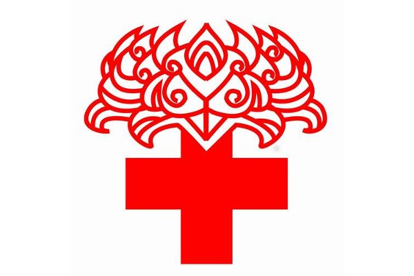 儿童外科中心急招护士 需具备专业护理资质