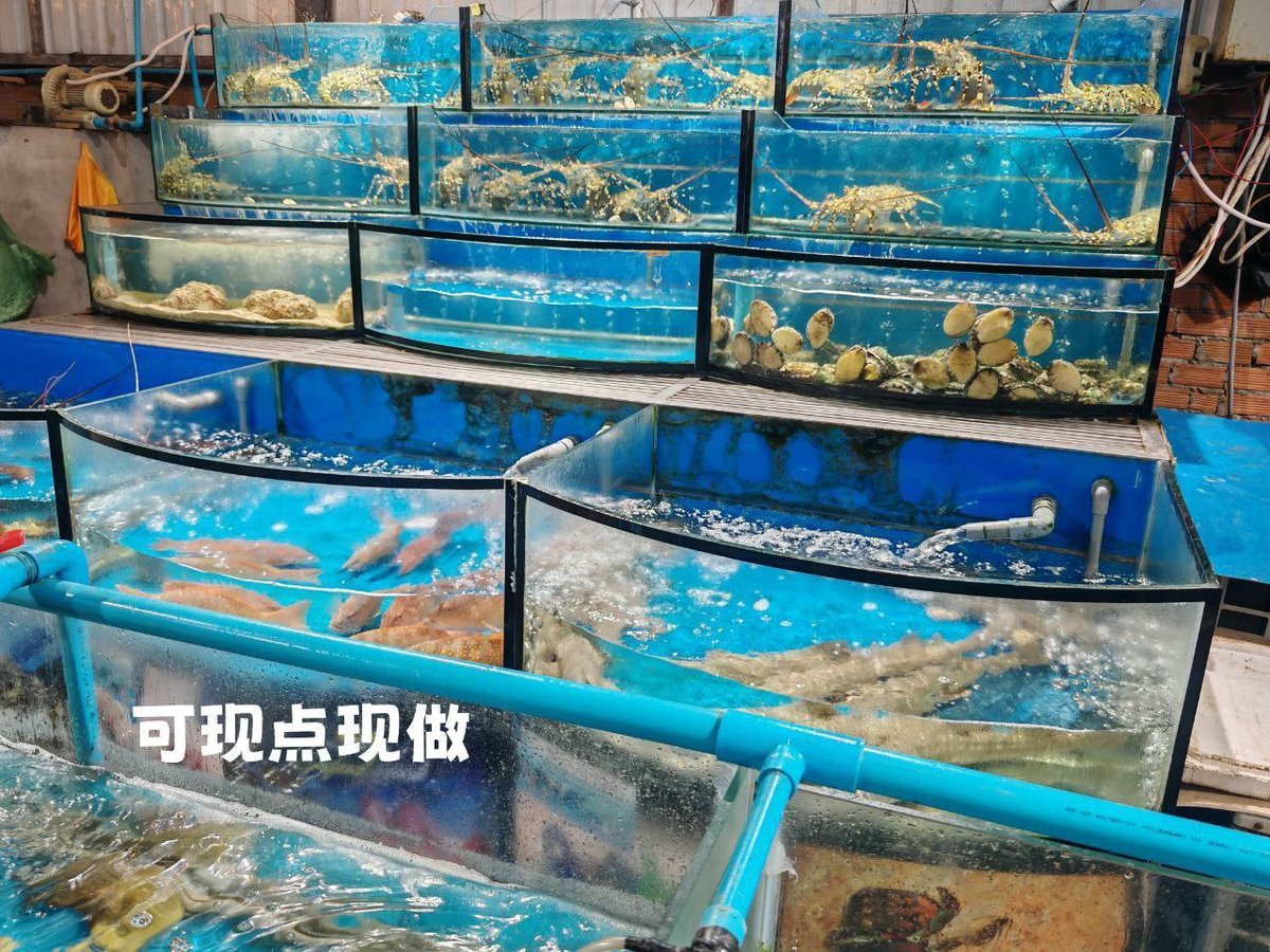 优选新鲜海鲜大咖与特色海鲜外送