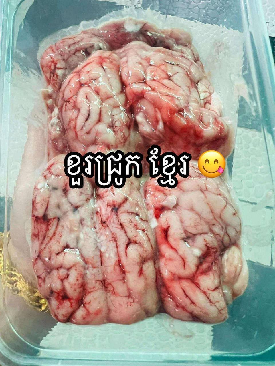 优质柬埔寨本地牛肉销售
