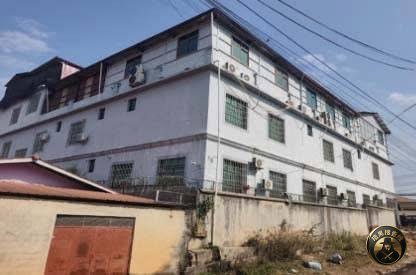 缅甸木姐突袭电诈窝点:85名中国公民被抓获
