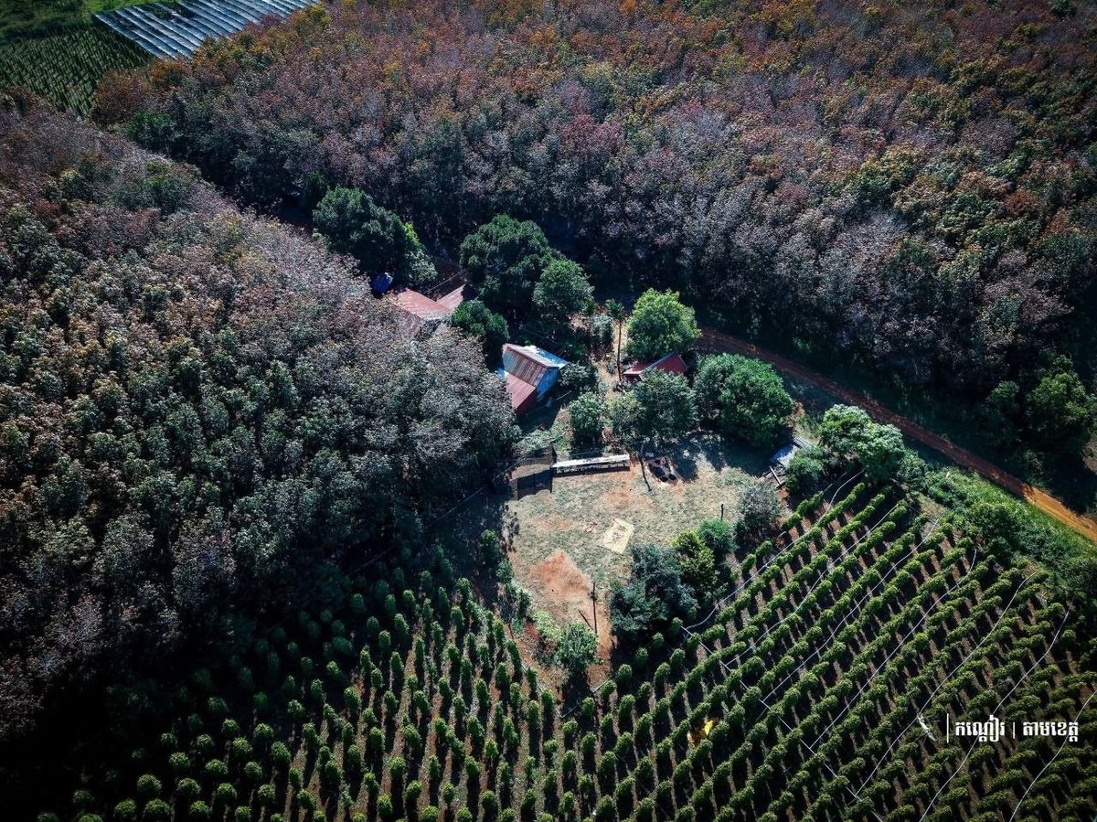 蒙多基里省皮切达县土地利用情况
