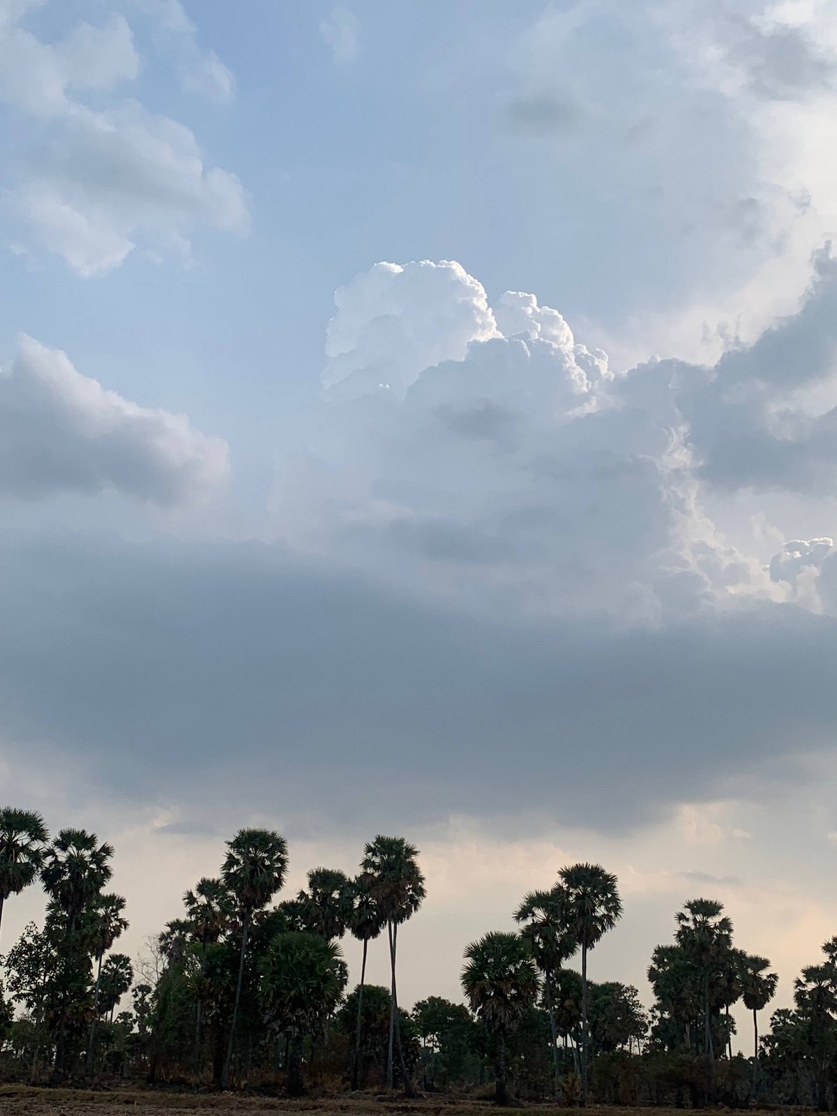 柬埔寨新年第二天多地出现分散性降雨