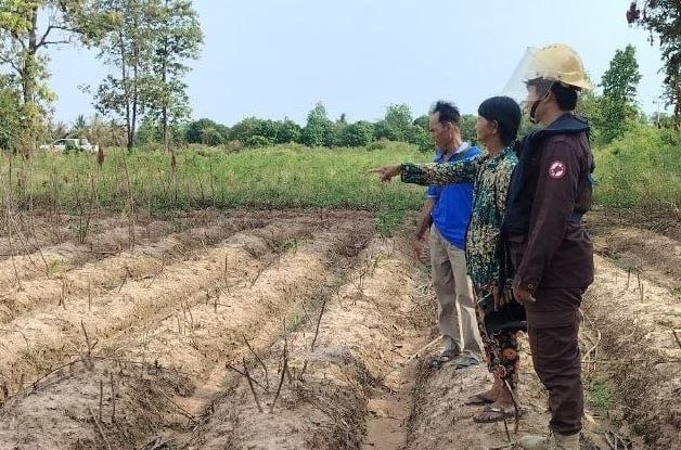 柬埔寨地雷行动中心清理边境集束炸弹 保障农田安全