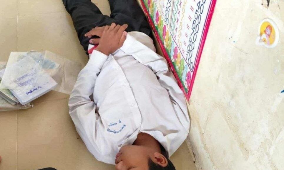 柴桢省一所小学发生黄蜂袭击事件,导致18名学生受伤