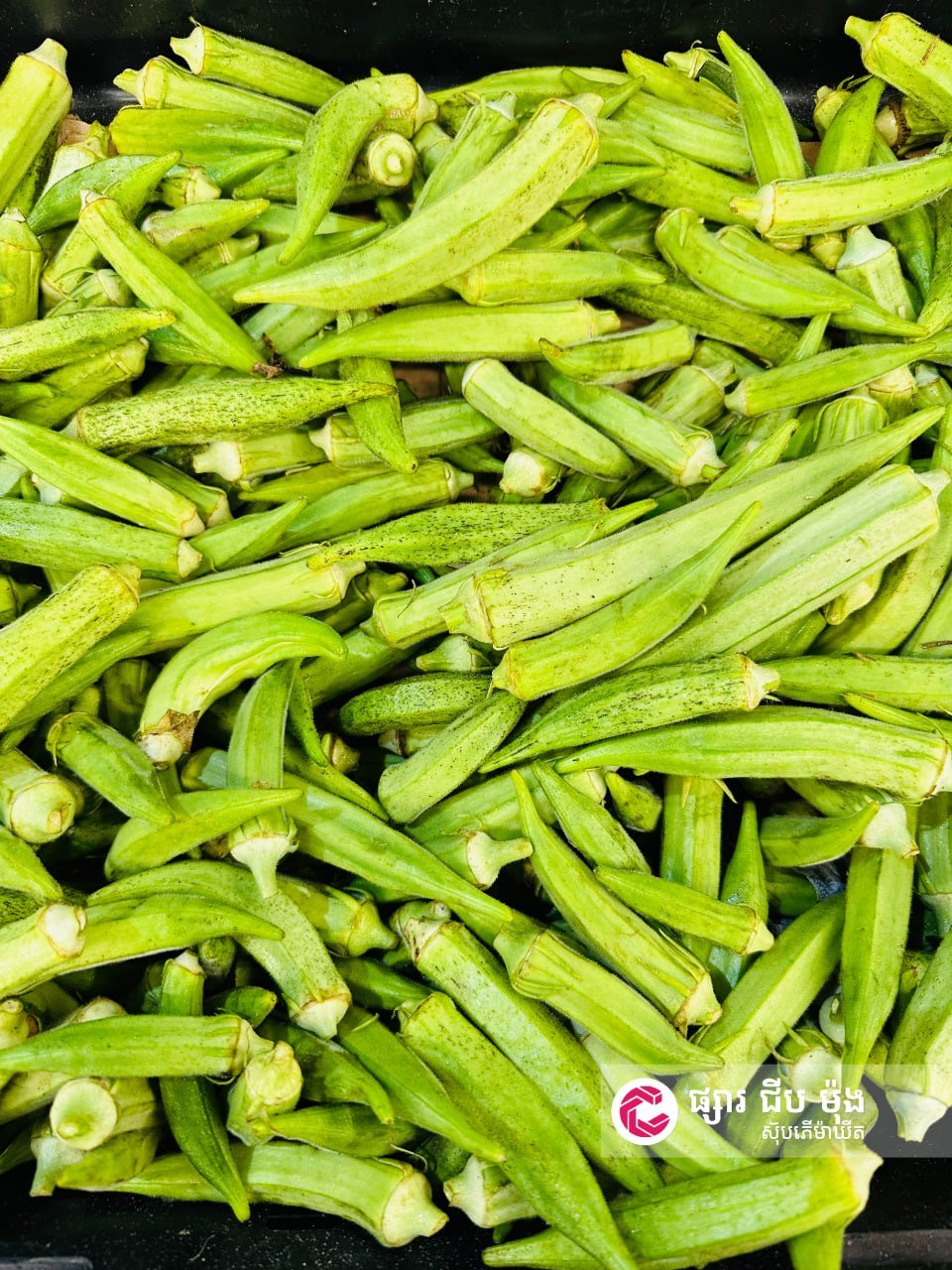 生鲜蔬菜供应充足,品质保证