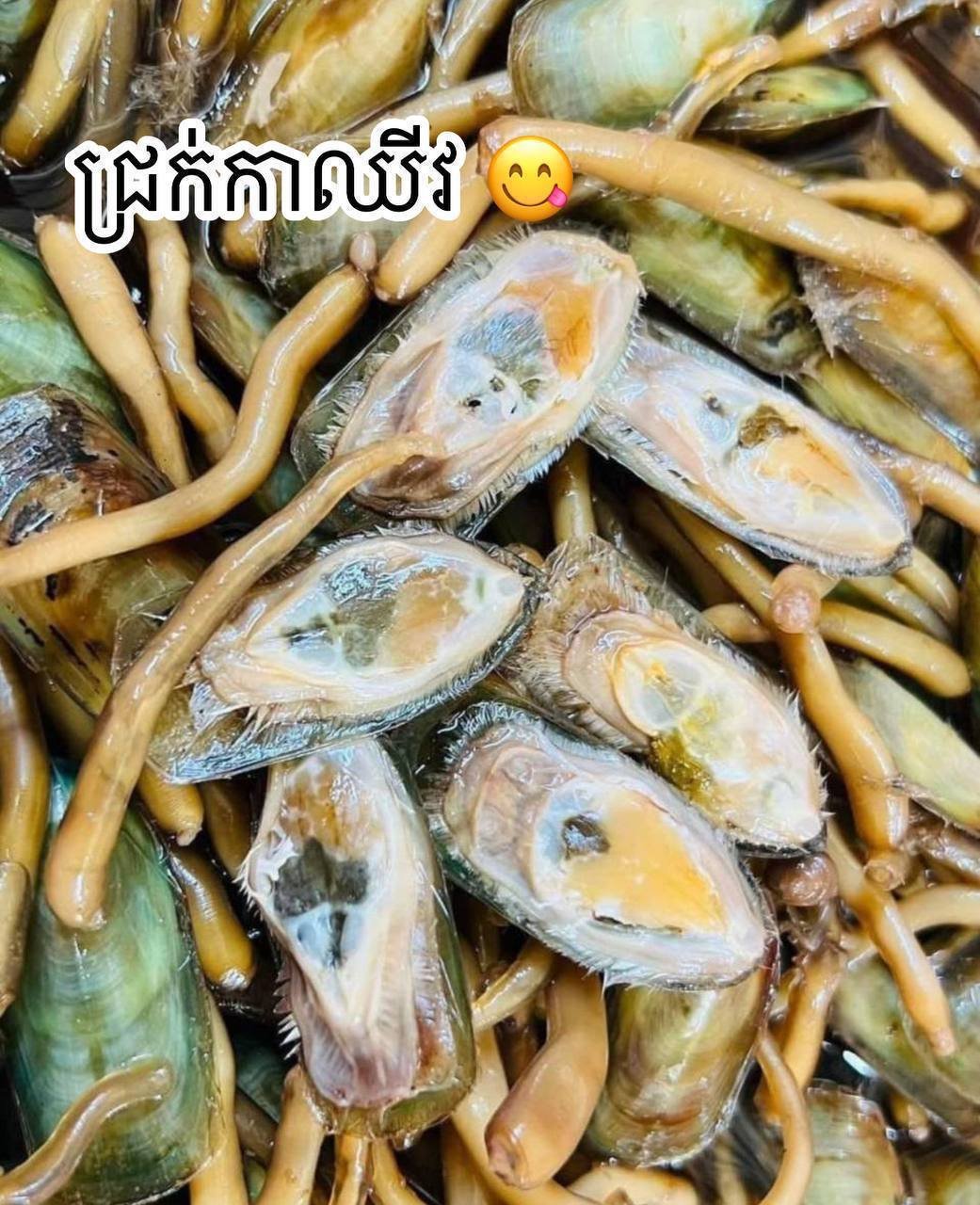 优质腌制蛤蜊肉