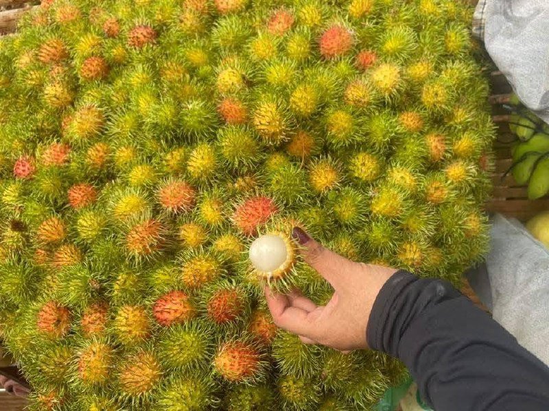 天然农家土特产销售