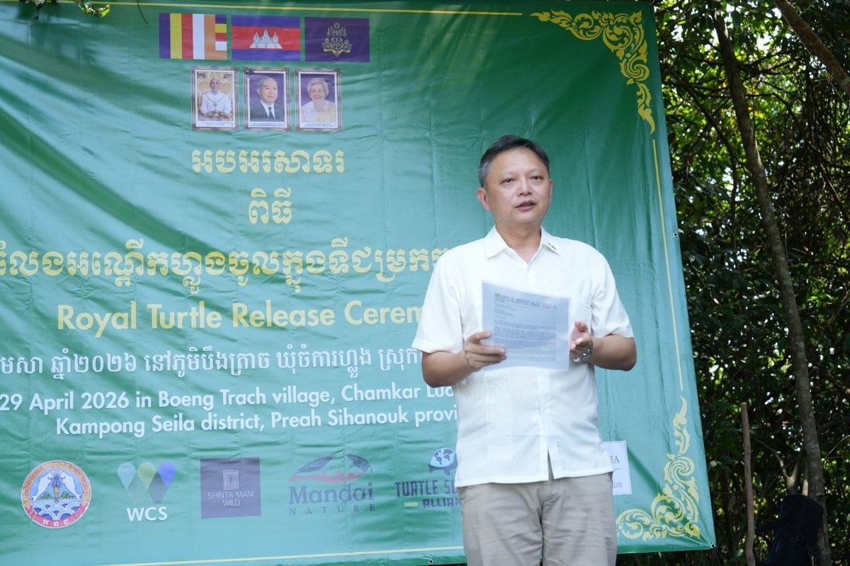 柬埔寨农林渔业部放归20只皇家龟 助力濒危物种自然繁衍