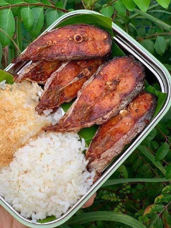天然风干鱼干