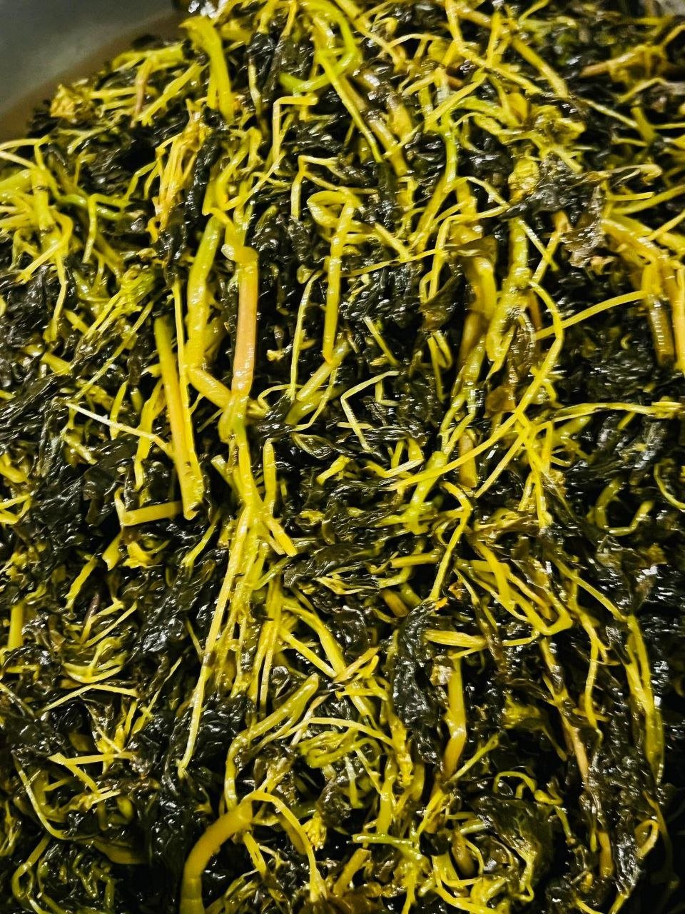 新鲜腌制长豆