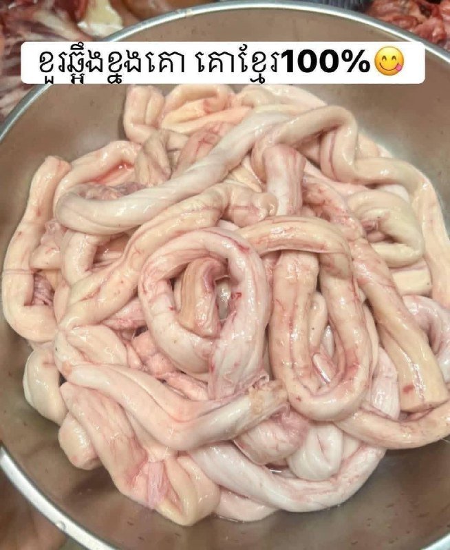 新鲜猪脑与牛骨髓供应