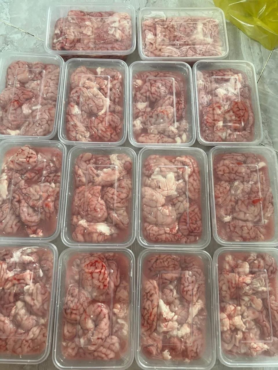 新鲜猪脑与牛骨髓供应