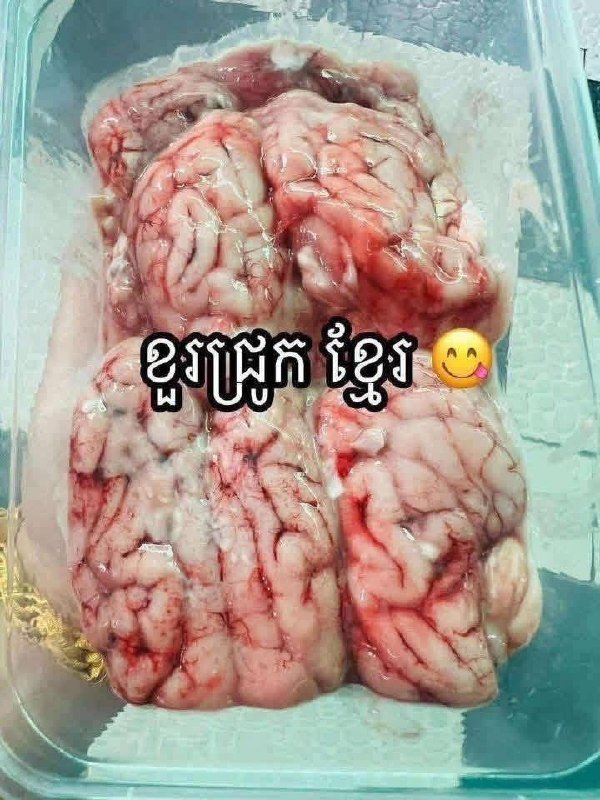 新鲜猪脑与牛骨髓供应