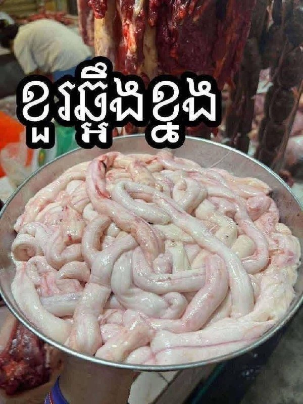 新鲜猪脑与牛骨髓供应