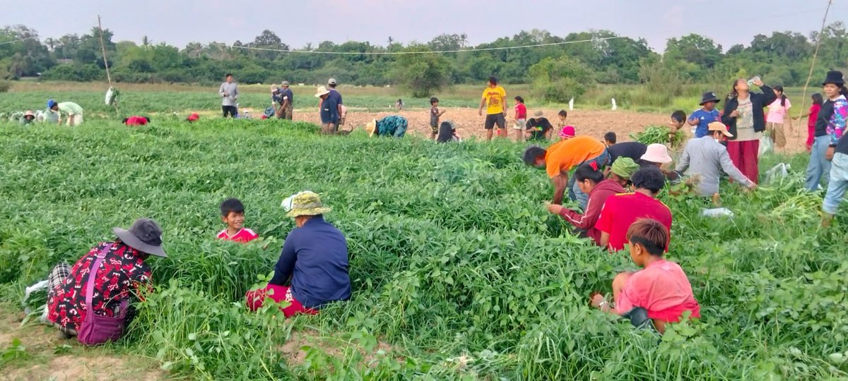 奥多棉芷省农业局向巴特考安全中心供应1.4吨蔬菜及1500枚鸭蛋