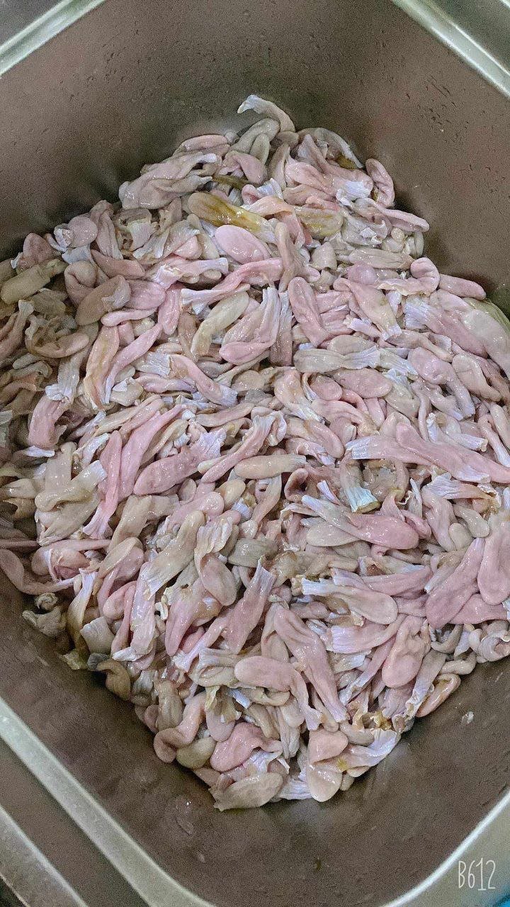 金边优质鱼肚供应 适合制作酸汤等本地菜肴