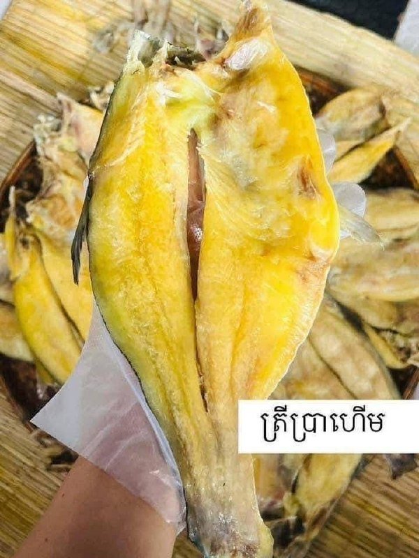 金边特色腌制鱼类外卖 提供真空包装可带出国 现货供应
