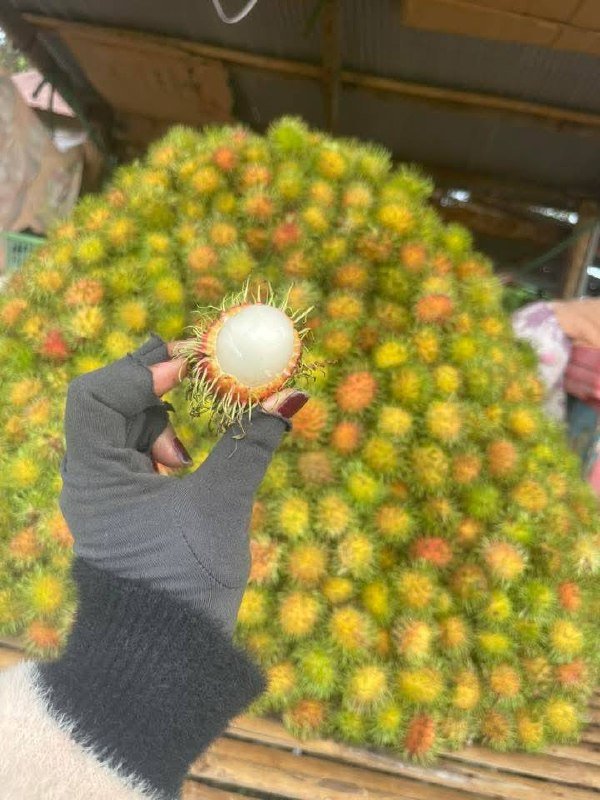 磅湛省斯登特朗县天然水果直销 每日新鲜供应