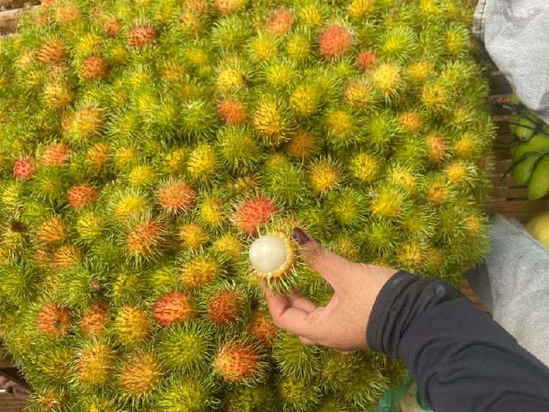 磅湛省斯登特朗县天然水果直销 每日新鲜供应