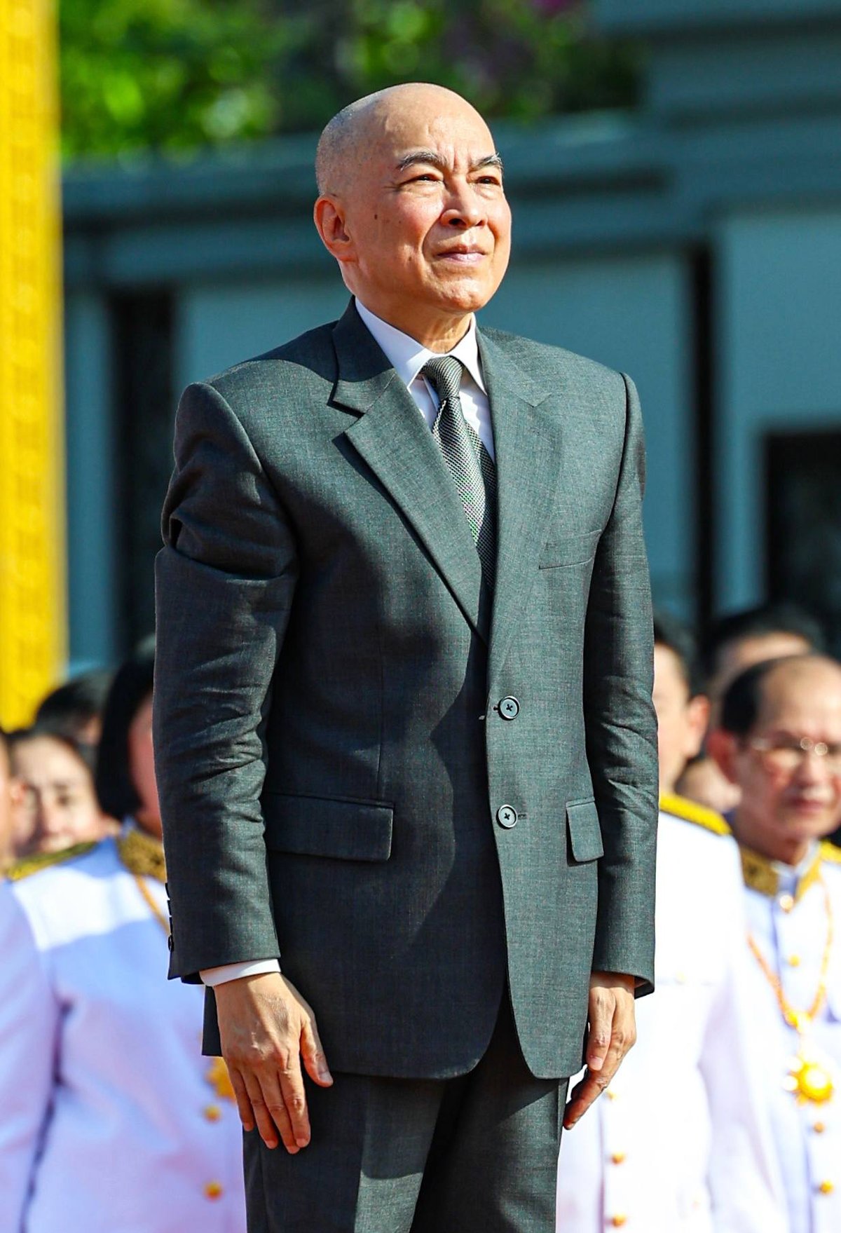 柬埔寨官员向诺罗敦·西哈莫尼国王致慰问信