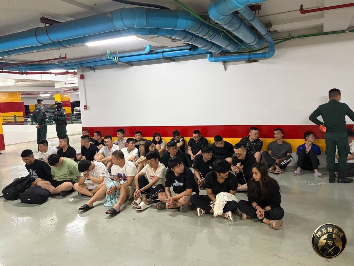 金边警方开展打击网络诈骗专项行动,逮捕百余人