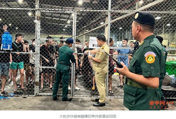 柬埔寨遣返267名越南籍电诈嫌犯