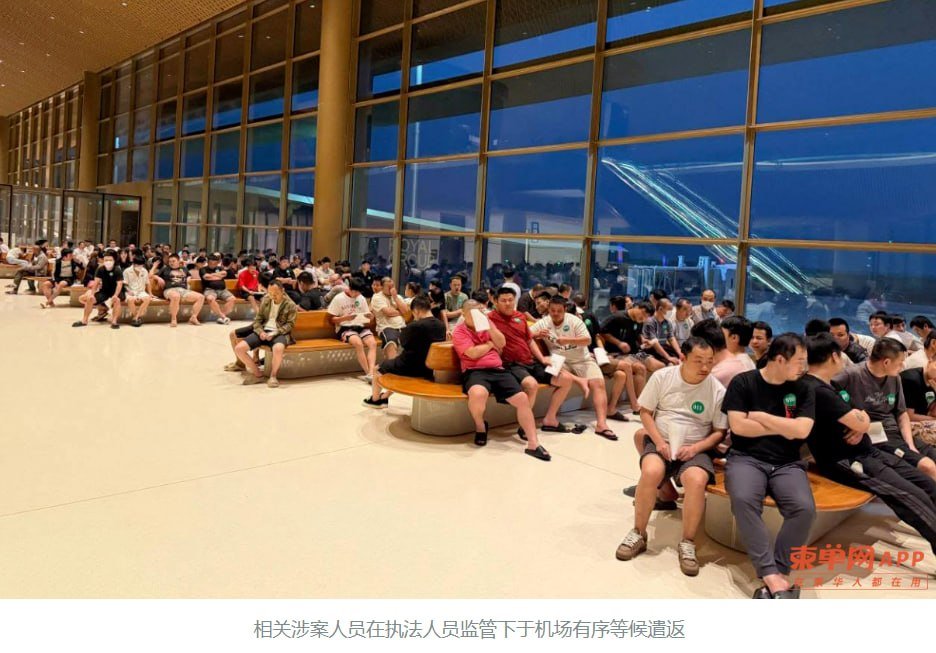 8天遣返1175人!柬埔寨持续严打电诈