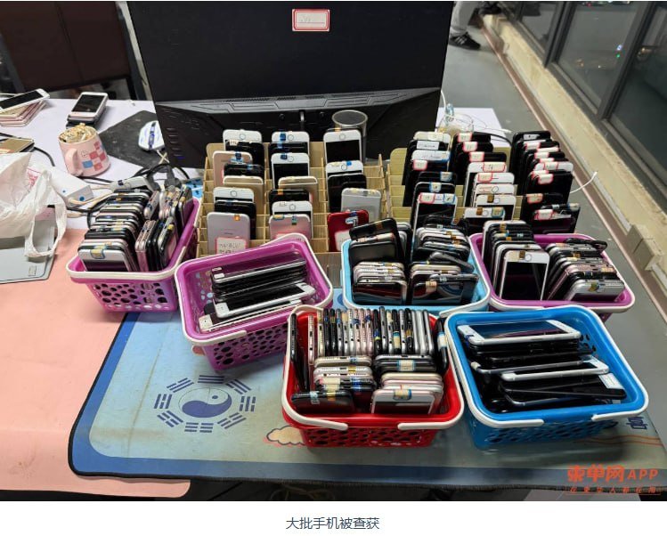 金边查获涉诈窝点,逾20人被捕