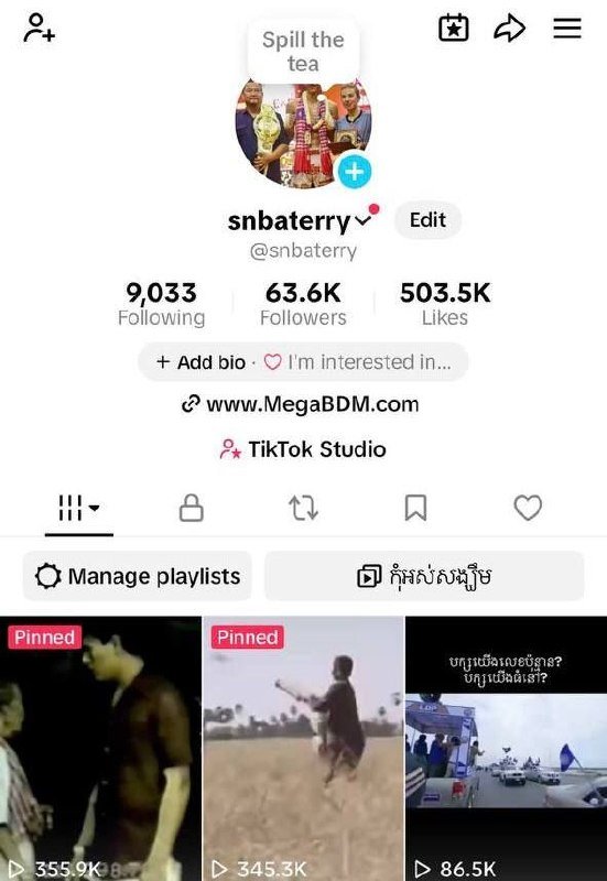TikTok账号出售与运营服务