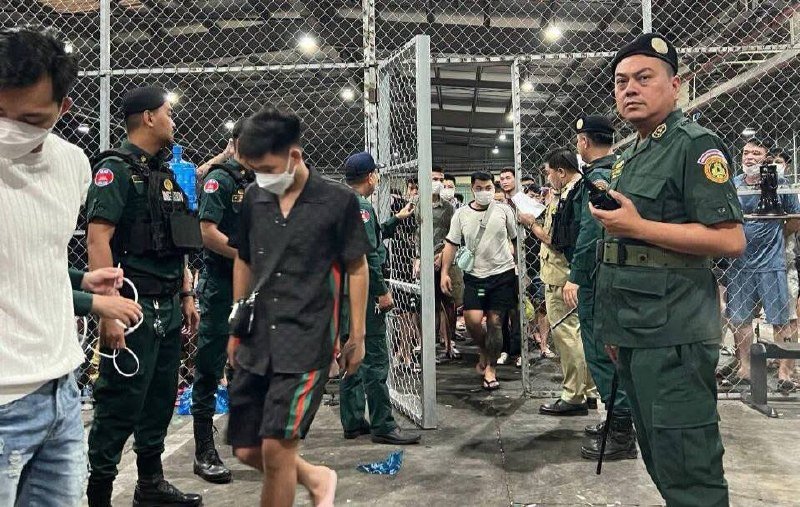 1175名外籍人员因涉嫌网络诈骗被驱逐出境
