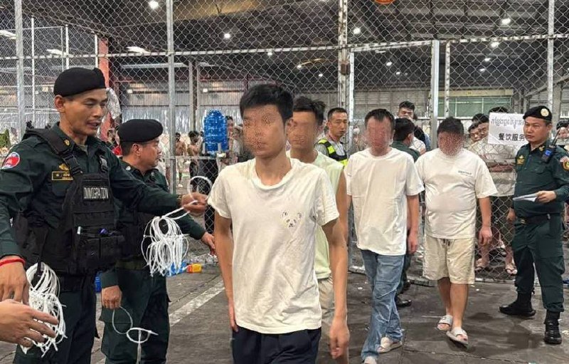 329名涉嫌网络诈骗的中国籍人员被驱逐出境