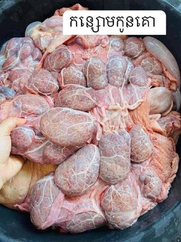优质柬埔寨本地牛肉销售