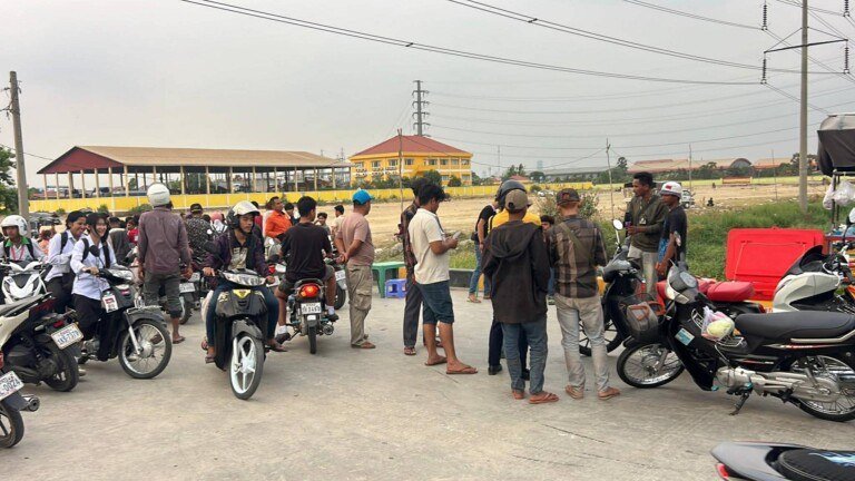 金边波森芷区路边水沟惊现半具男性遗骸