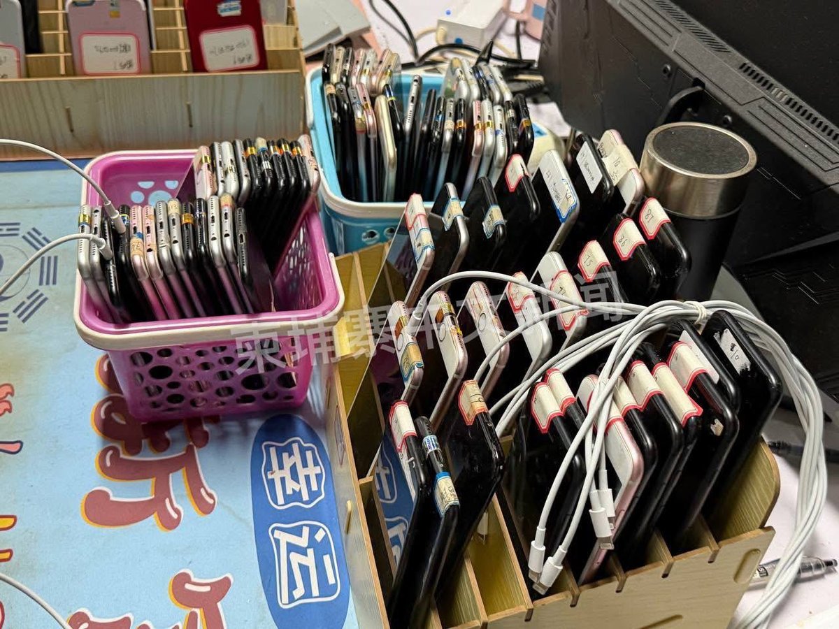 金边当局突击检查公寓并拘留多人