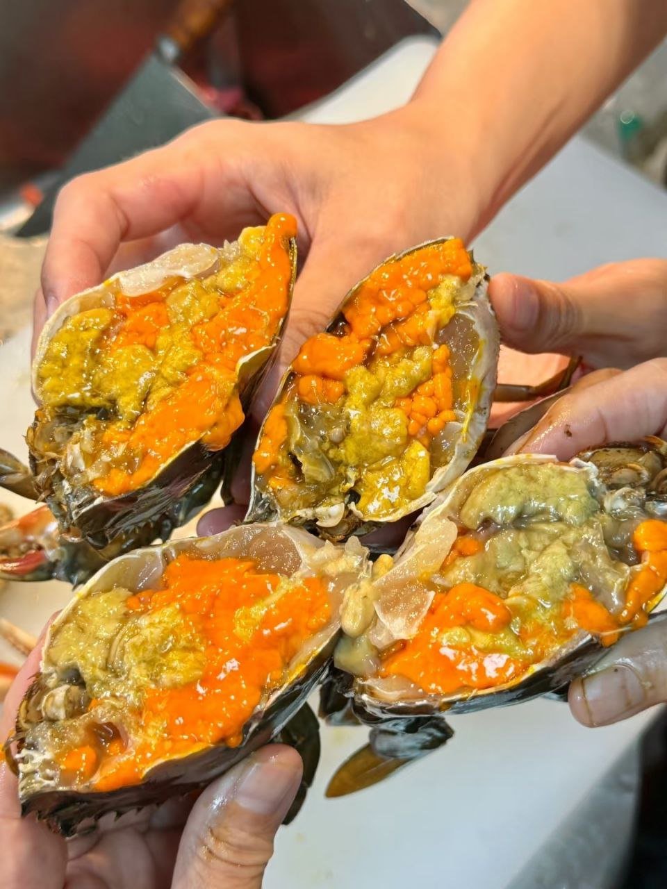 优选新鲜海鲜大咖与特色海鲜外送