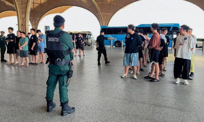 柬埔寨大规模遣返327名涉诈中国籍人员