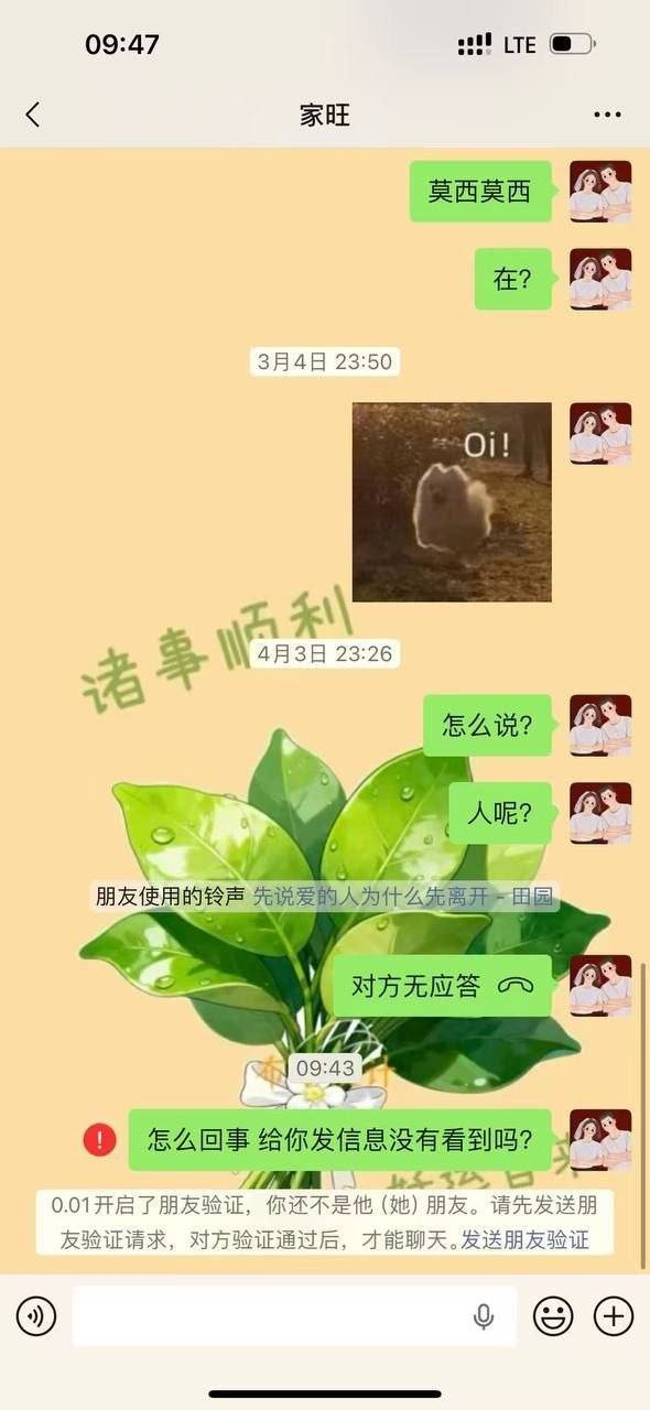 柬埔寨职场欠款纠纷曝光:前同事借款500美元后失联