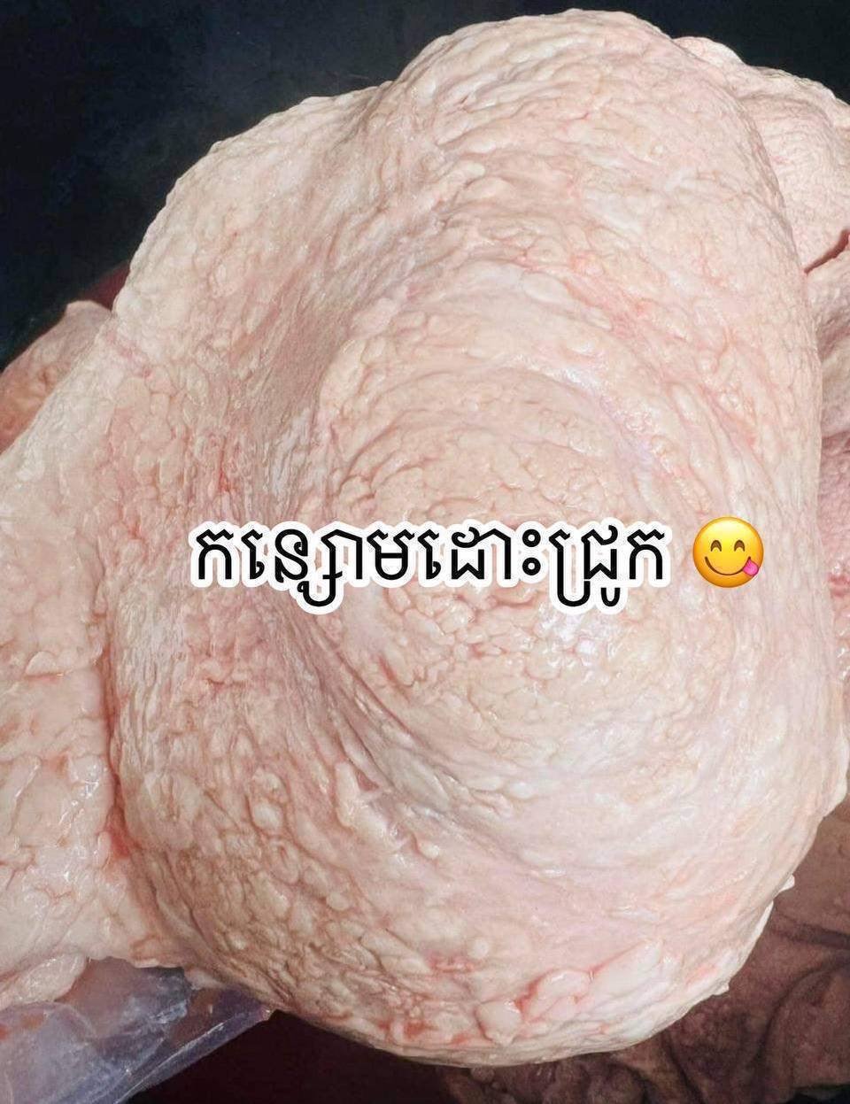 100%高棉特色猪肠/猪杂