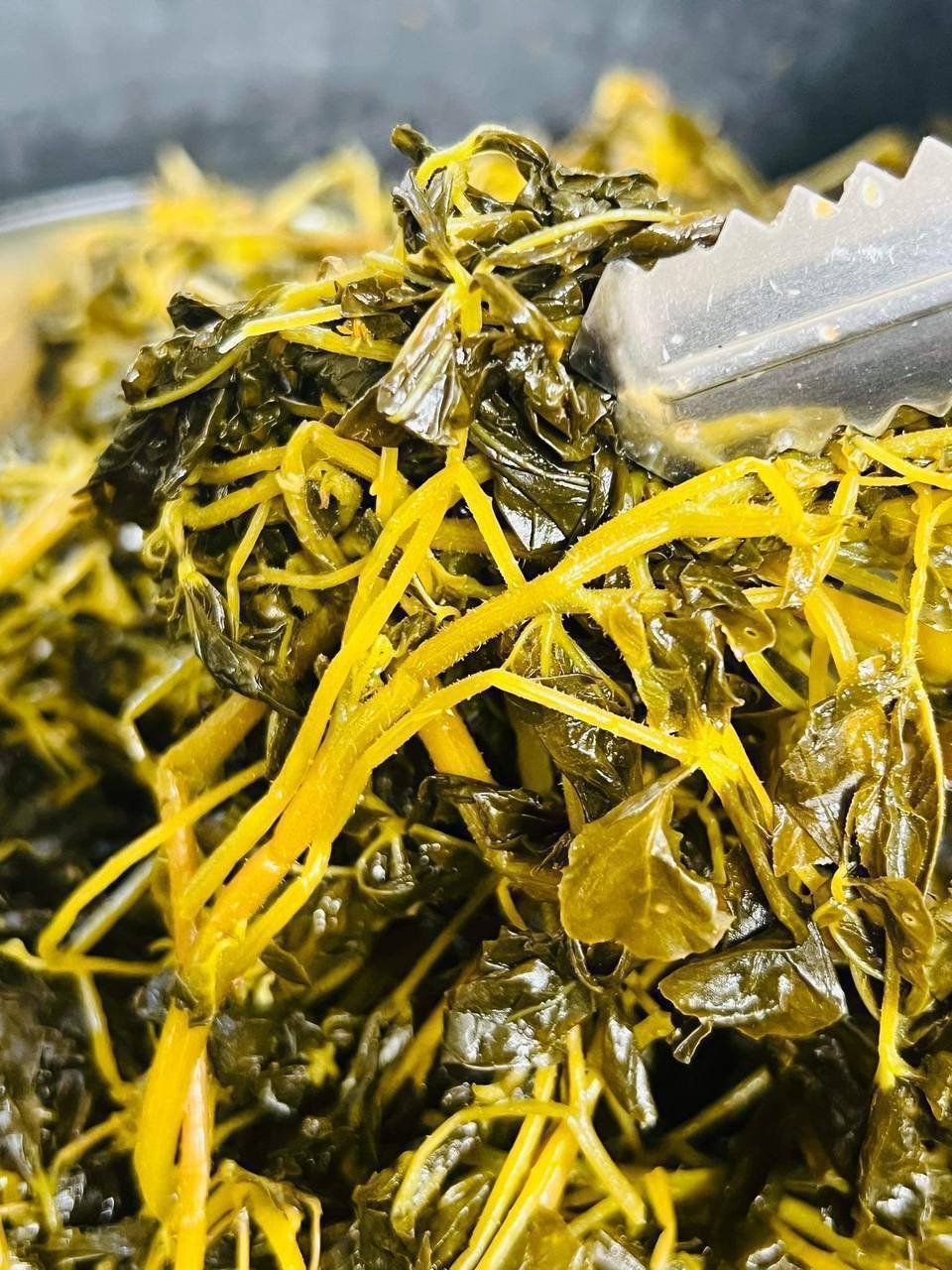 新鲜腌制长豆角/蔬菜