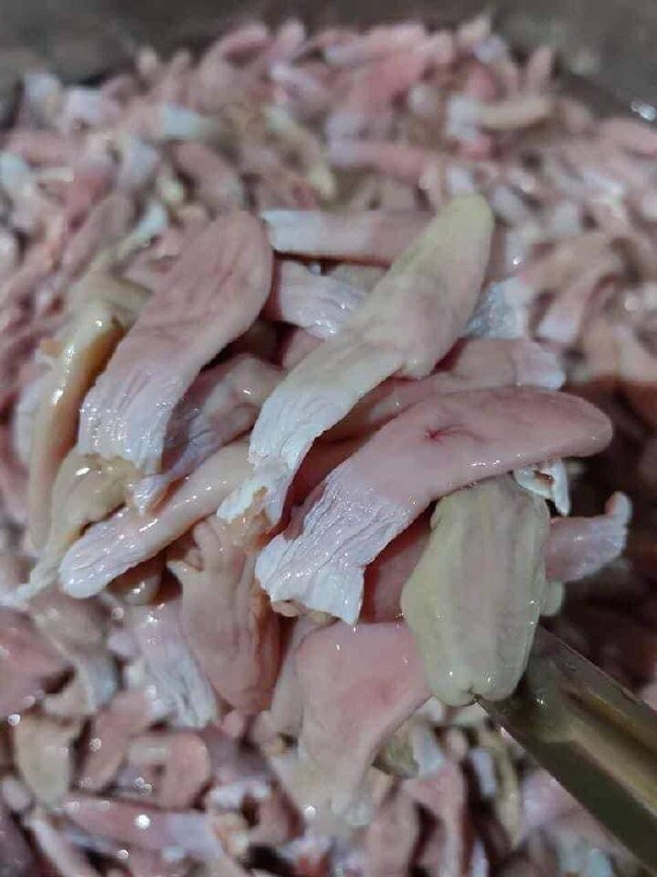 优质大号鳢鱼鱼鳔