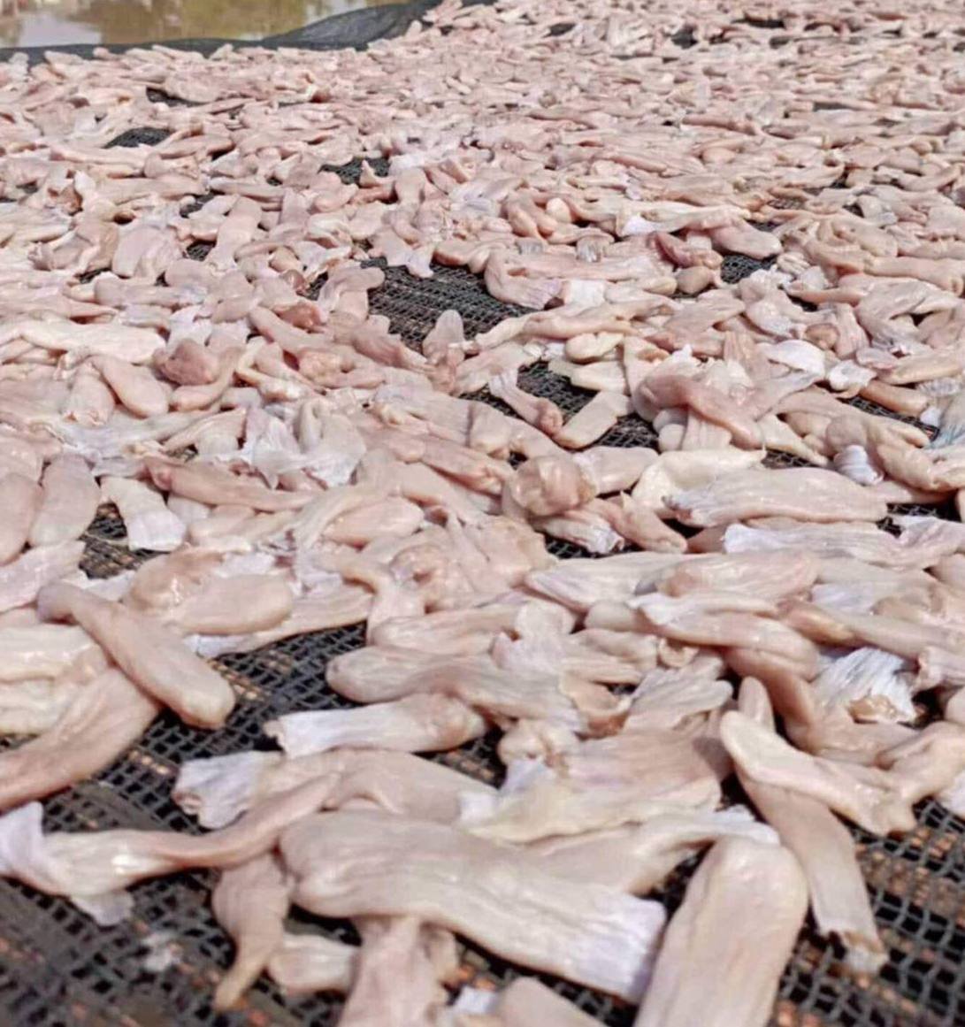 干鳢鱼鳔(80%干度)