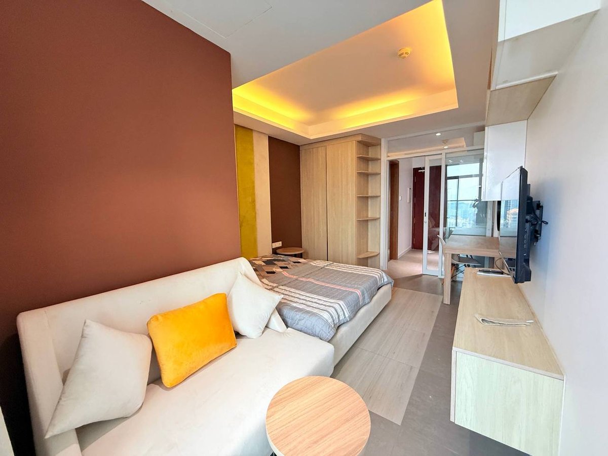 金边永旺1区/钻石岛附近 The Penthouse Residence 公寓出租