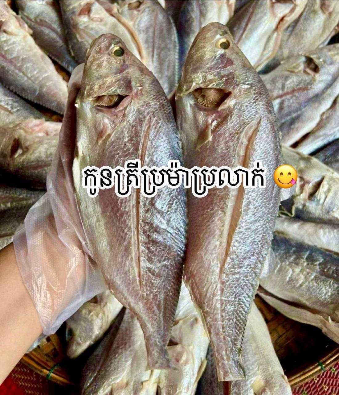 特色腌制鱼类及各类美食外送