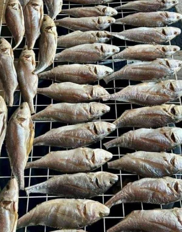 手工腌制鱼干出售 卫生品质保证 售价42000瑞尔每公斤