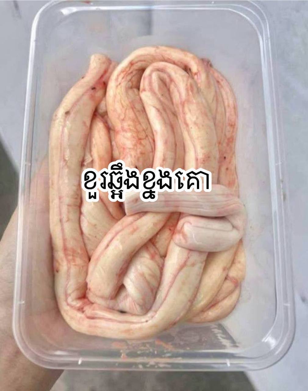 本地高品质牛肉零售 接受定制加工 069/089/067271115