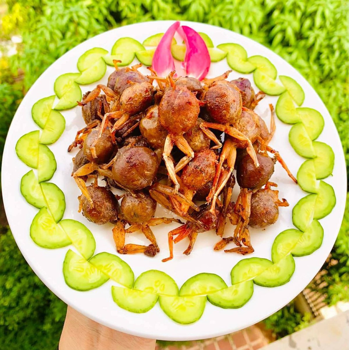 手工猪肉制品销售 每公斤$16 可煎炸烤
